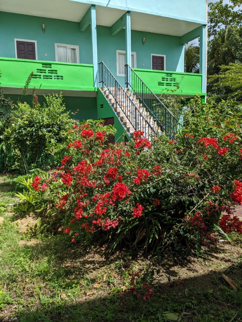De Kolibrie Appartementen Paramaribo Exteriör bild